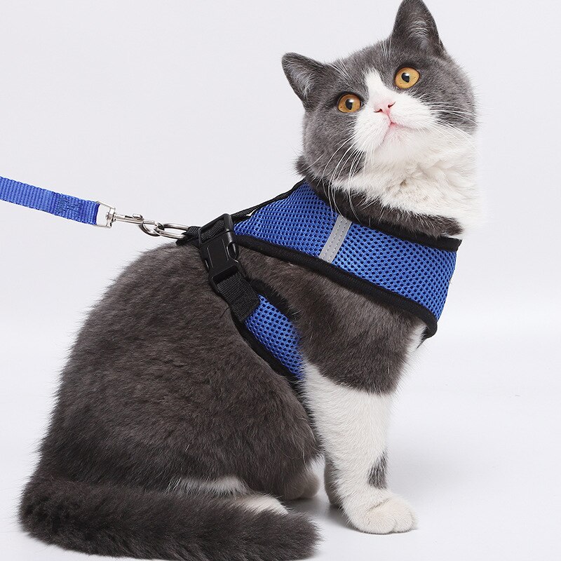 4 maten mesh reflecterende hondenhalsband, hondentuig, hondenriemset voor kleine middelgrote en grote honden, nylon puppy's, honden, kattenharnas