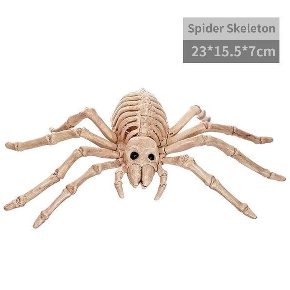 Esqueleto de escorpión movible para Halloween, esqueleto de Animal movible, mesa para ratón de murciélago de plástico, decoración de , juguetes de araña: Spider Skeleton
