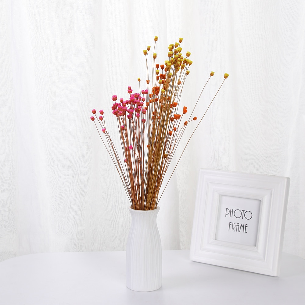 50 st kawaii glad blomma naturlig liten torkad blomma pressade torkade blommor mini dekorativt arrangemang foto bakgrundsdekoration