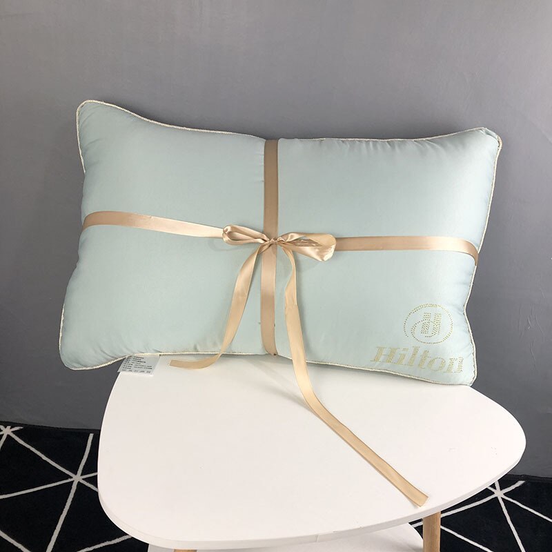 48x74cm maison Textile velours oreiller noyau luxe fleur chaude oreiller pour hôtel literie plume coussin noyau: Green / 48x74cm (950g) 1pc
