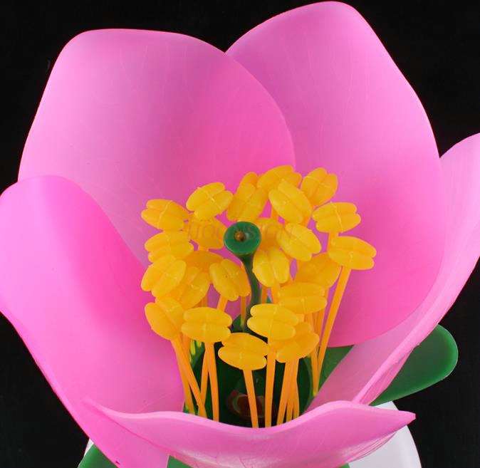 Peach Blossom Model Pistil Enlargement Model Five-petal Ovary Stamen Enlarged Flower Structure Peach Blossom Anatomy Model