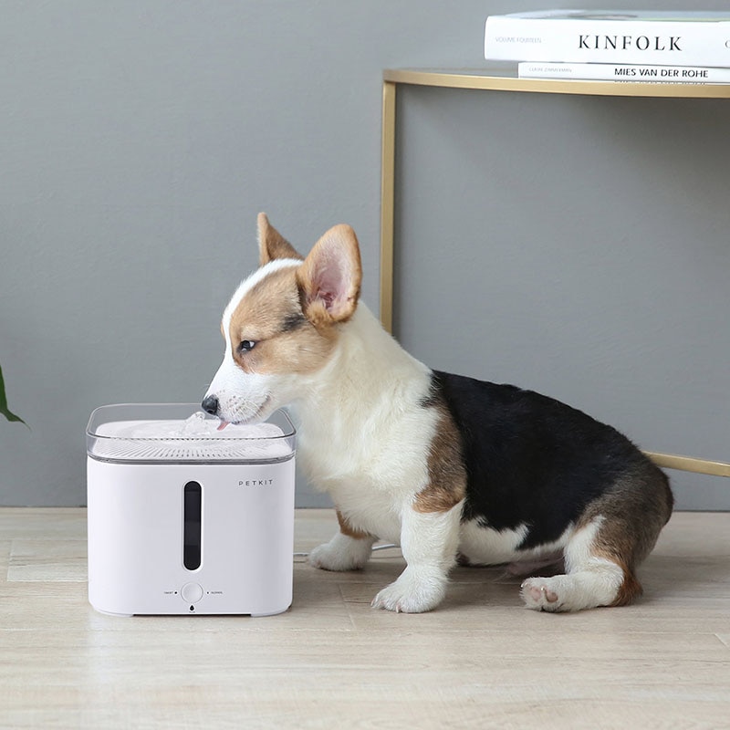 Xiaomi Petkit Smart Kat Hond Drinkwater Drinker Intelligente Warming Water Dispenser Upgrade De Tweede Generatie Huisdier Feeder