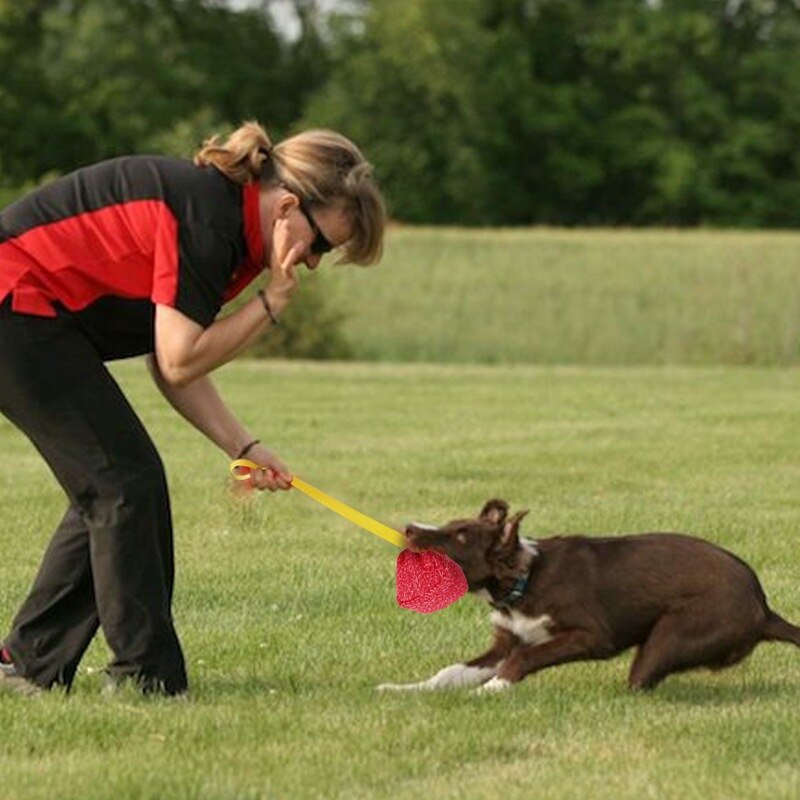 ThinBest-mordedor resistente para el entrenamiento de tu cachorro o perro, Pastor Alemán, molares K9, juguete interactivo para mascotas, juguete Tug