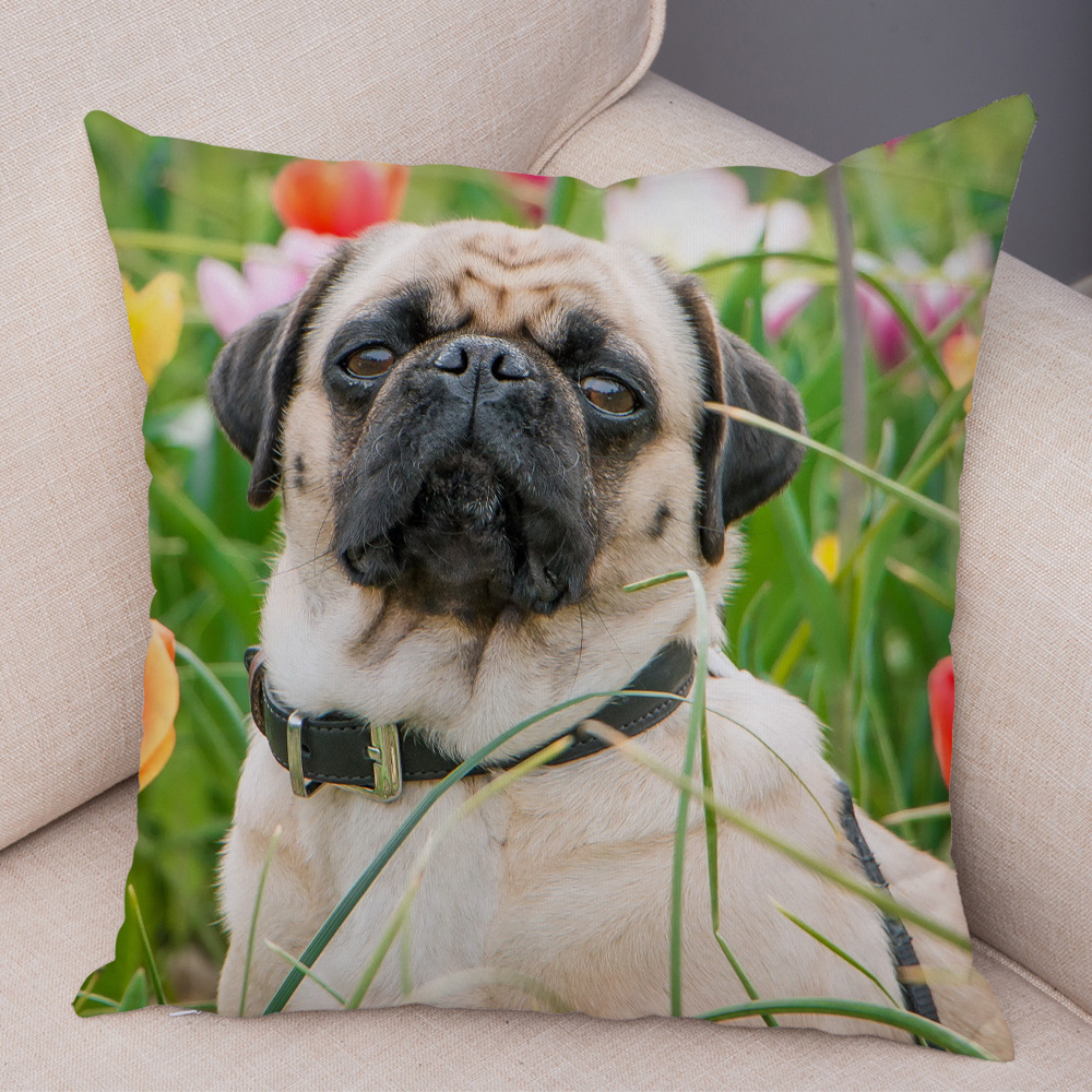Housse de coussin carlin mignonne, oreiller décoratif imprimé pour animaux de compagnie, pour voiture, canapé, maison, en Polyester