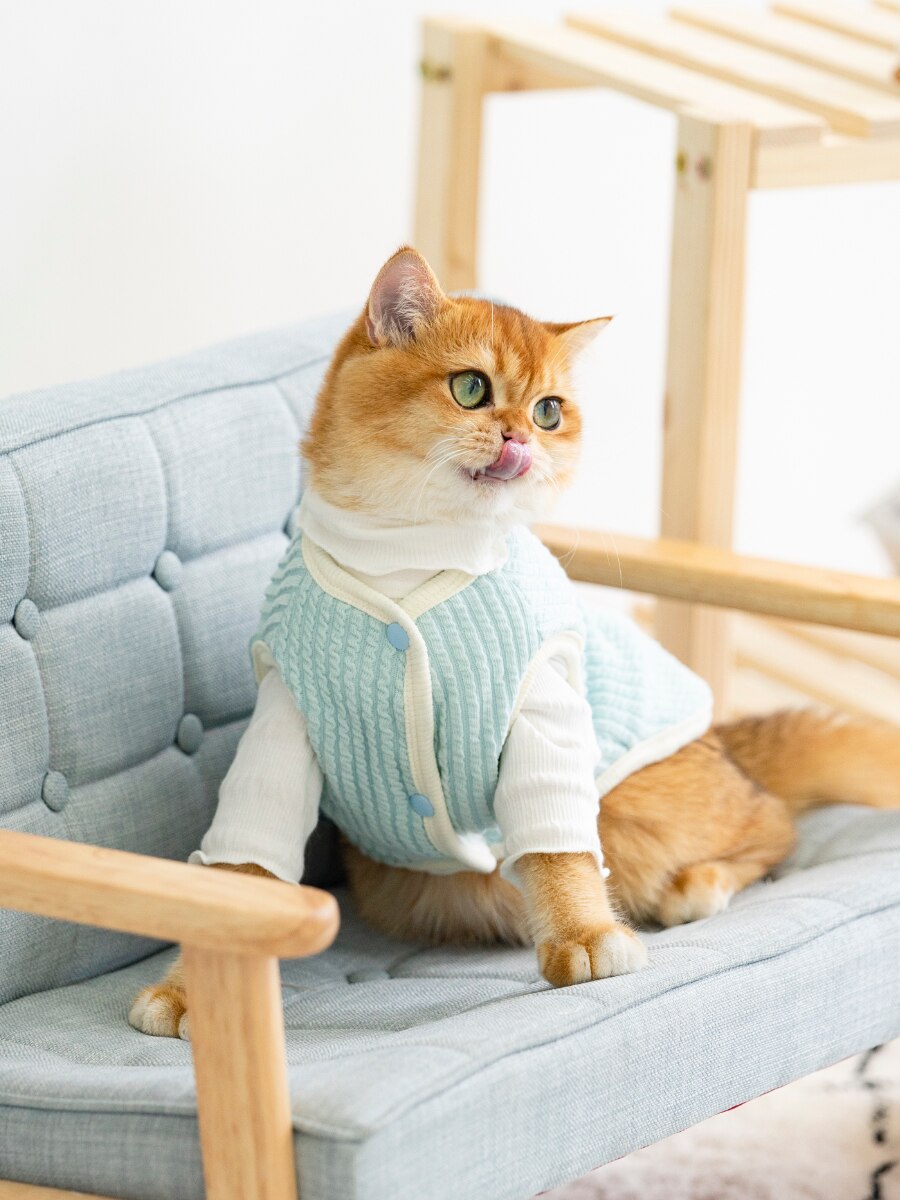 Kat Kleding Haarloze Kat Kleding Winter Verdikking Warme Sphynx Kat Kleren Thuis Comfortabele Winter Kleding