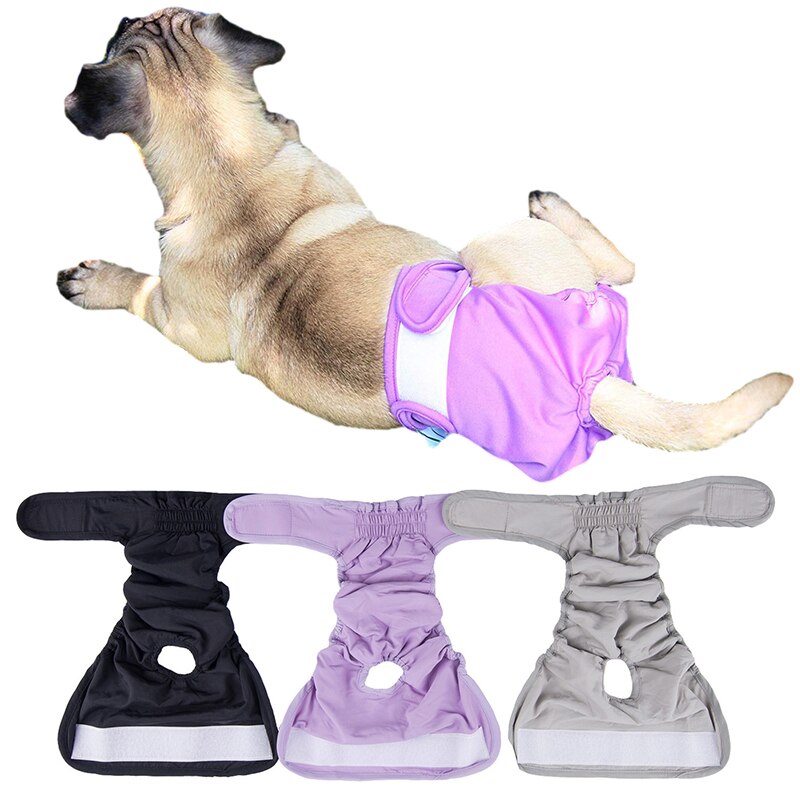 Animal de estimação calças fisiológicas para pequeno cão grande filhote de cachorro fralda macio à prova de vazamento calça lavável durável roupa interior do animal de estimação curto fralda