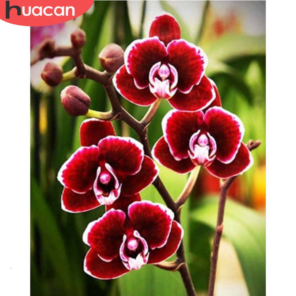 HUACAN Painting By Numbers Flower Hand Painted Art Dawing On Canvas Picture Set DIY Home Decoration