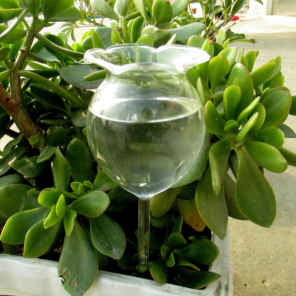 Heißer Plasic/glas Pflanze Blume Wasser Zubringer Selbst Bewässerung Gerät Zimmerpflanze Blumentopf Lampe Globus Garten Haus Waterer Vogel # PJR: L