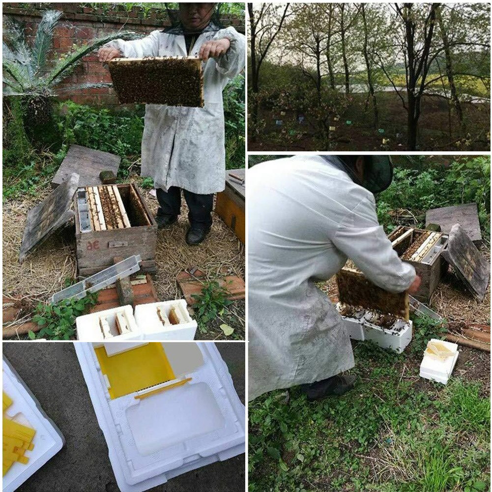 Bee Hive Beekeeping King Box Pollination Box Foam Frames Beekeeping Tool Kit Harvest Bee Hive Home Hive Case Beekeeper tools CSV