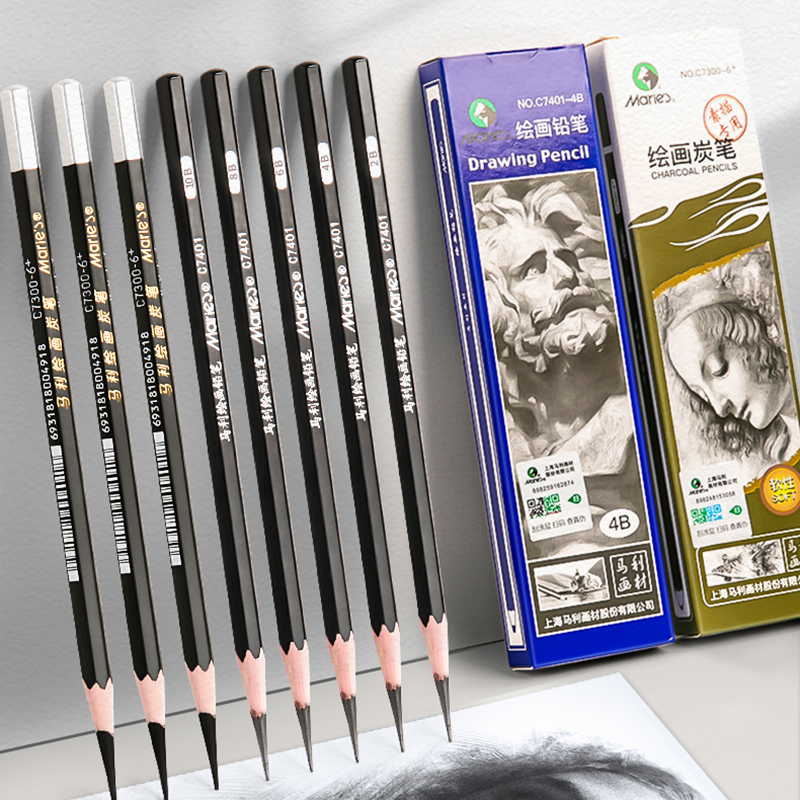 12Pcs 2H HB B 2B 3B 4B 5B 6B 7B 8B 12B 14B Sketch Drawing Graphite Shading Charcoal Pencils Set Sketching for Artists Beginners