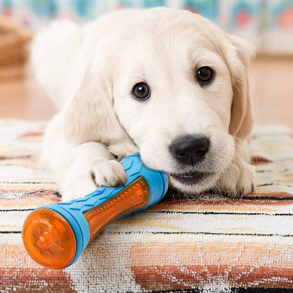 Chewing Big Dog Toys Rubber Bite Resistant Squeaky Training Playing Toy Interactive Dog Toys for Large Medium Dogs Teeth Clea