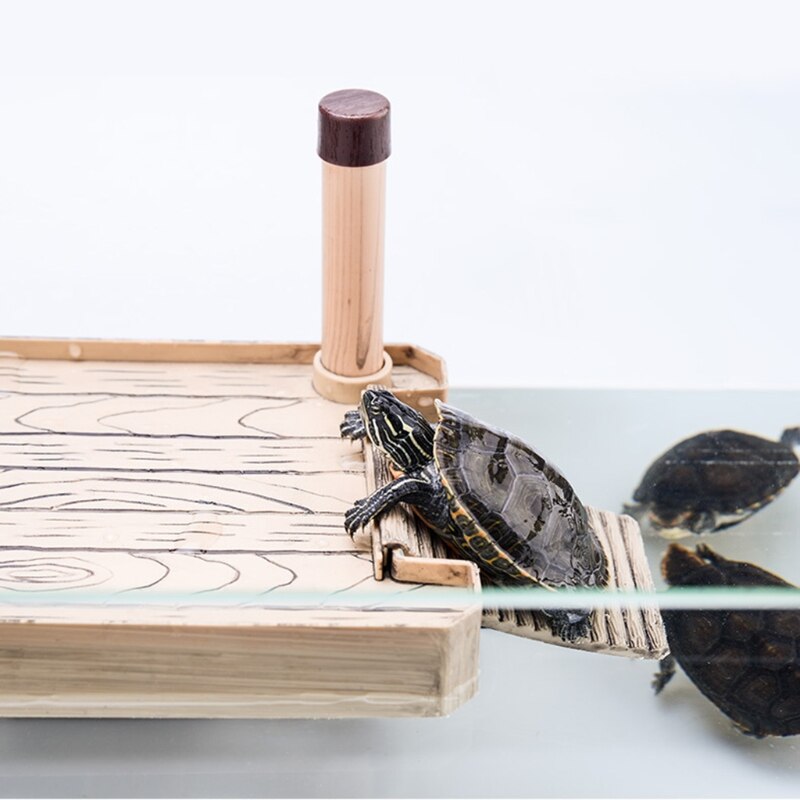 Turtle Pier Floating Basking Reptile Ramp Platform Turtle Terrace Brazilian Tortoise Climbing Island Amphibian Floating Island