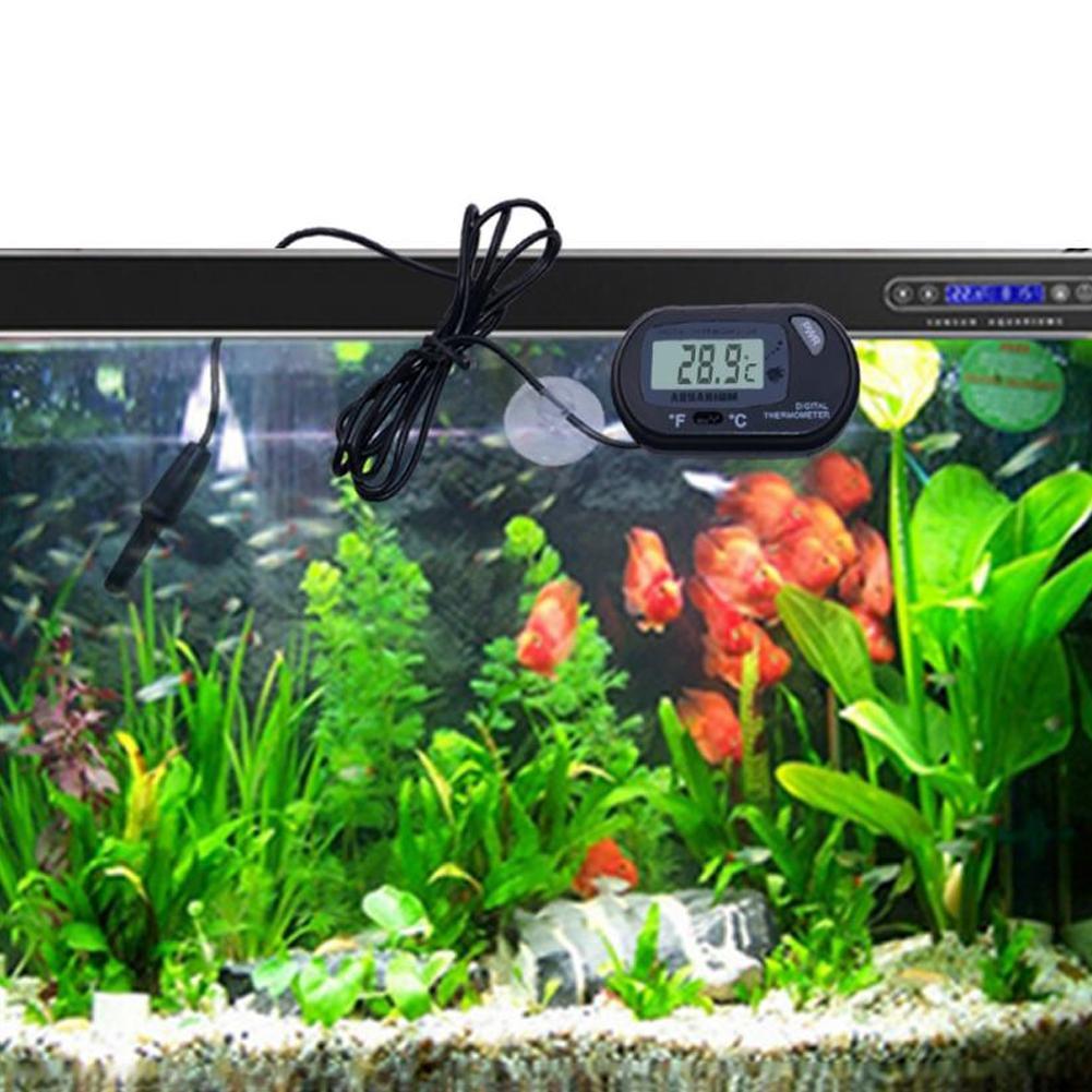 Digital Thermometer Manufacturers Aquarium Fish Tank Conversion Temperature Button 1.5V Battery Fahrenheit Celsius W1W3