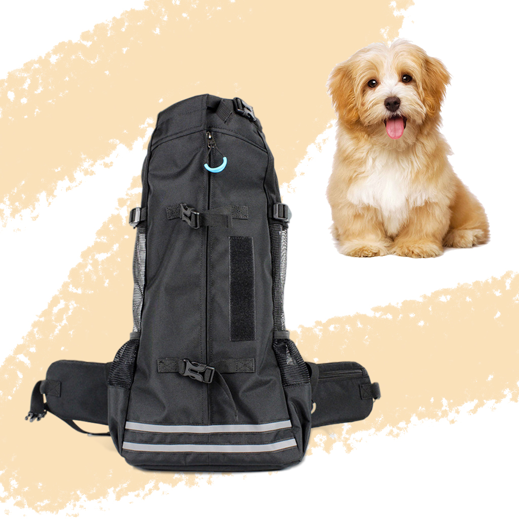 Medium Dog Carrier Backpack Pet Carrier , Breathable Corgi Travel Bag for Walking Hiking Bike Motorcycle: Black