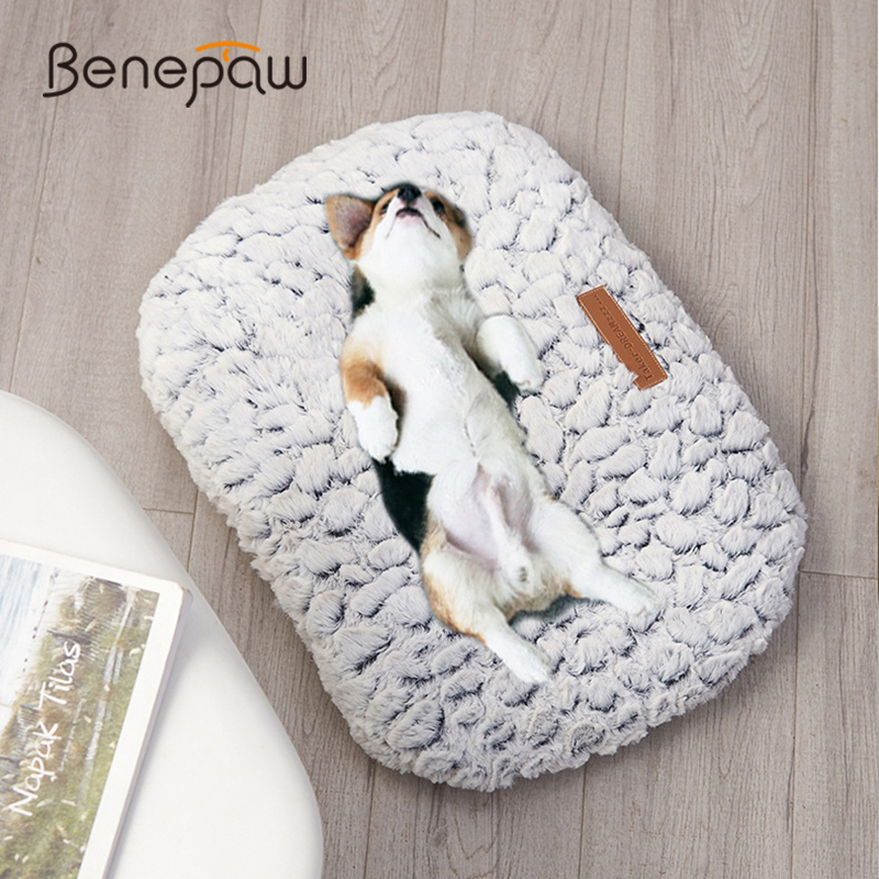 Benepaw Herfst Winter Warm Hond Bed Zachte Comfortabele Dikke Pluche Antislip Puppy Pet Mat Kussen Voor Kleine Medium Grote Honden katten