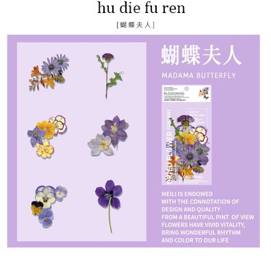 Jianwu 6 ark blomst stor klistermærke pakke plante journal klistermærke dekorative klistermærker note collage papir papirvarer: Hu die fu ren