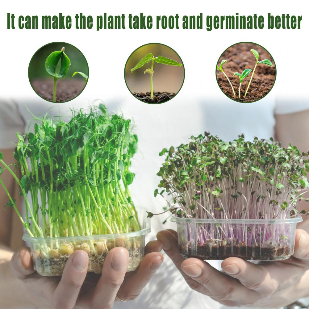 Maceta reutilizable para plantas de vivero, práctica, novedosa, ahorro de espacio, Visible, en patio para plantación, 1 Juego
