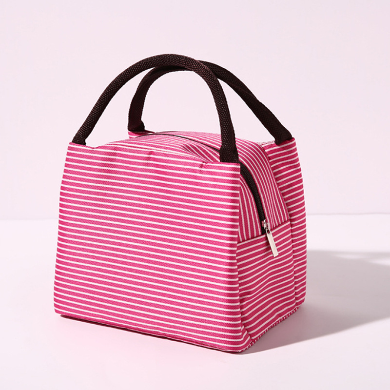 Stripe Women's Kids Lunch Bags Waterproof Insulated Picnic Foods Storage Container Handbag Thermal Lunch Box Cooler Bags: Clear