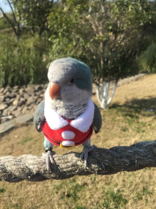 Ropa de abrigo para loros, suministros de aves, suministros de calefacción gruesa, traje volador de bolsillo, traje de una pieza, Otoño e Invierno