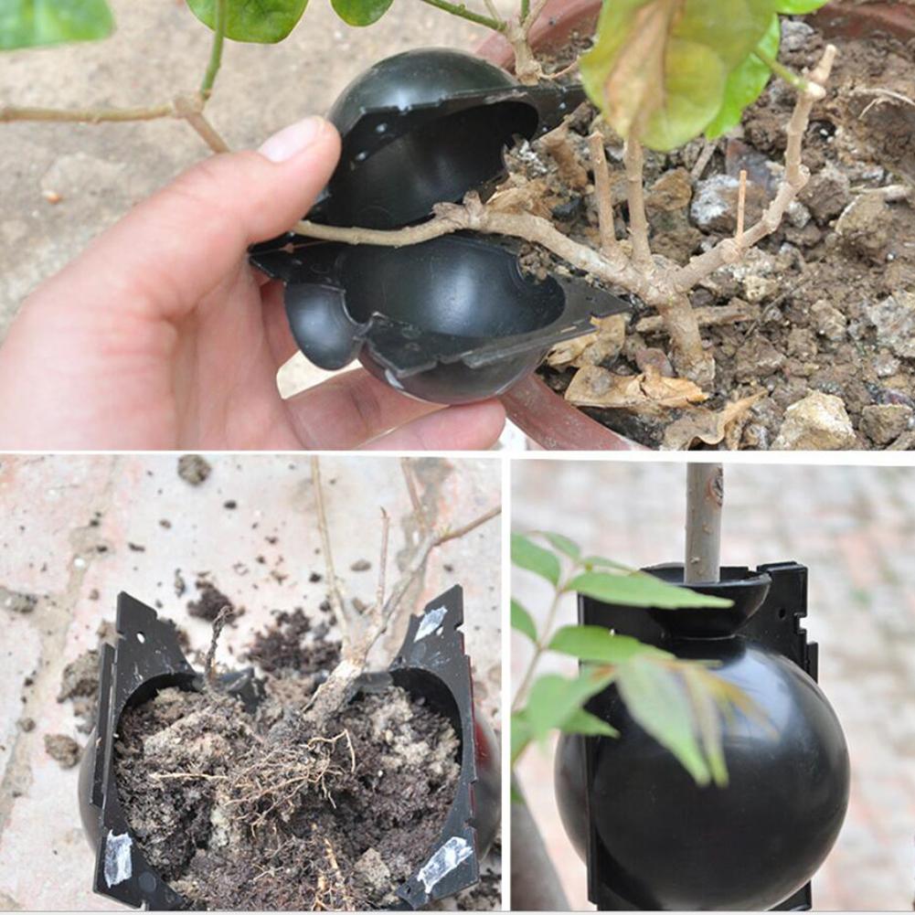 Plant Rooting Box Useful Plant Rooting Grow Box - Reusable Plant Rooting Device High-Pressure Box Botany Root Controller