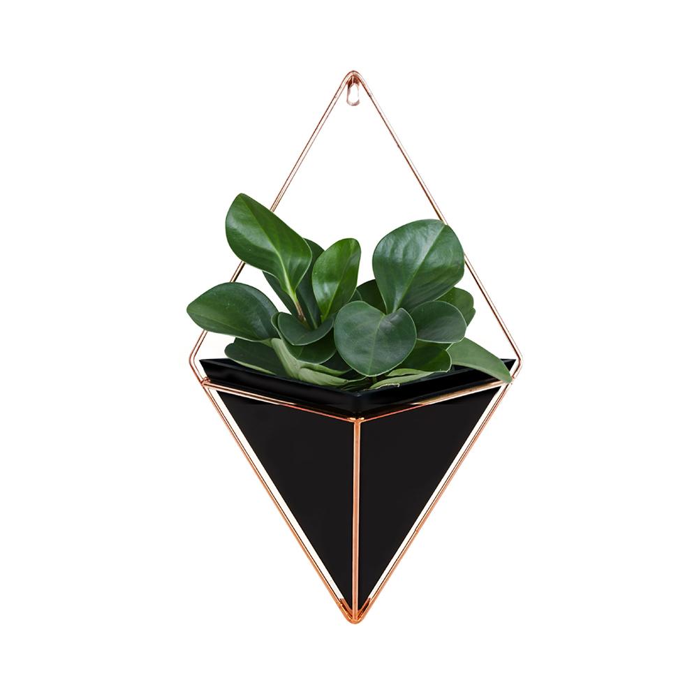 Maceta de acrílico + soportes de plantas de hierro Set de macetas colgantes para interiores jarrón geométrico decoración de pared contenedor macetas de plantas carnosas: Black / M