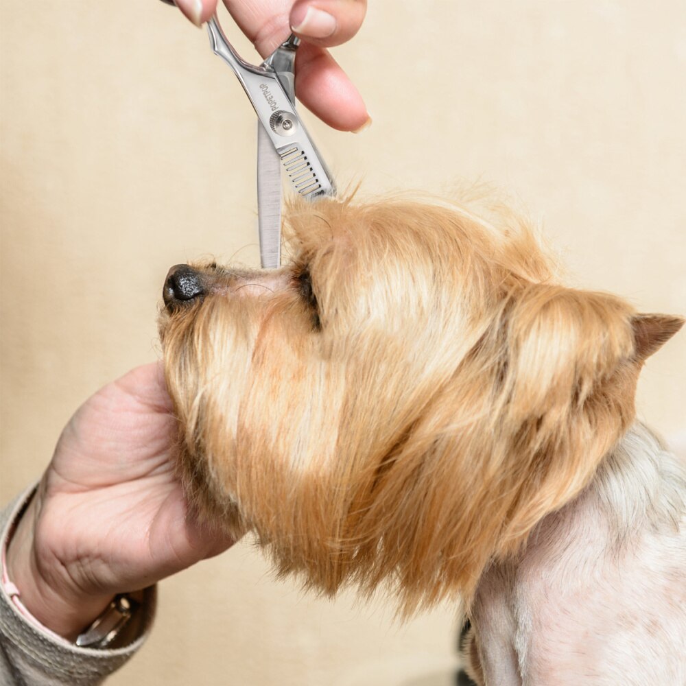 POPETPOP tijeras de peluquería canina Kit de servicio pesado de acero inoxidable tijeras de peluquería canina con seguridad punta redonda para Gato perro