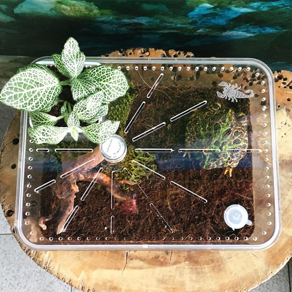 Reptile Tank Insect Spiders Tortoise Lizard Acrylic Transparent Breeding Box Vivarium Lid Reptile Pet Product Terrarium