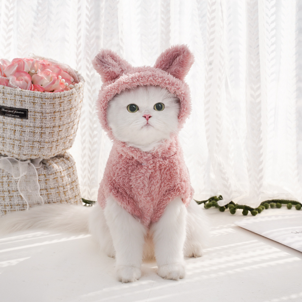 Oreille de lapin confortable coton polaire à capuche vêtements pour animaux de compagnie automne et hiver vêtements chat sweat à capuche chien vêtements fournitures