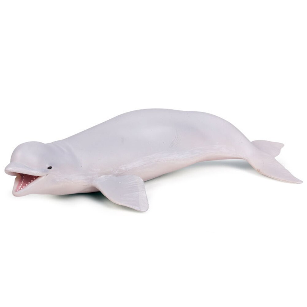 Leuke Beluga Witte Walvis Model Zee Leven Dieren Lifeliketoys Collecties Slaapkamer Decor Kinderen Kids Eduacational: WHITE