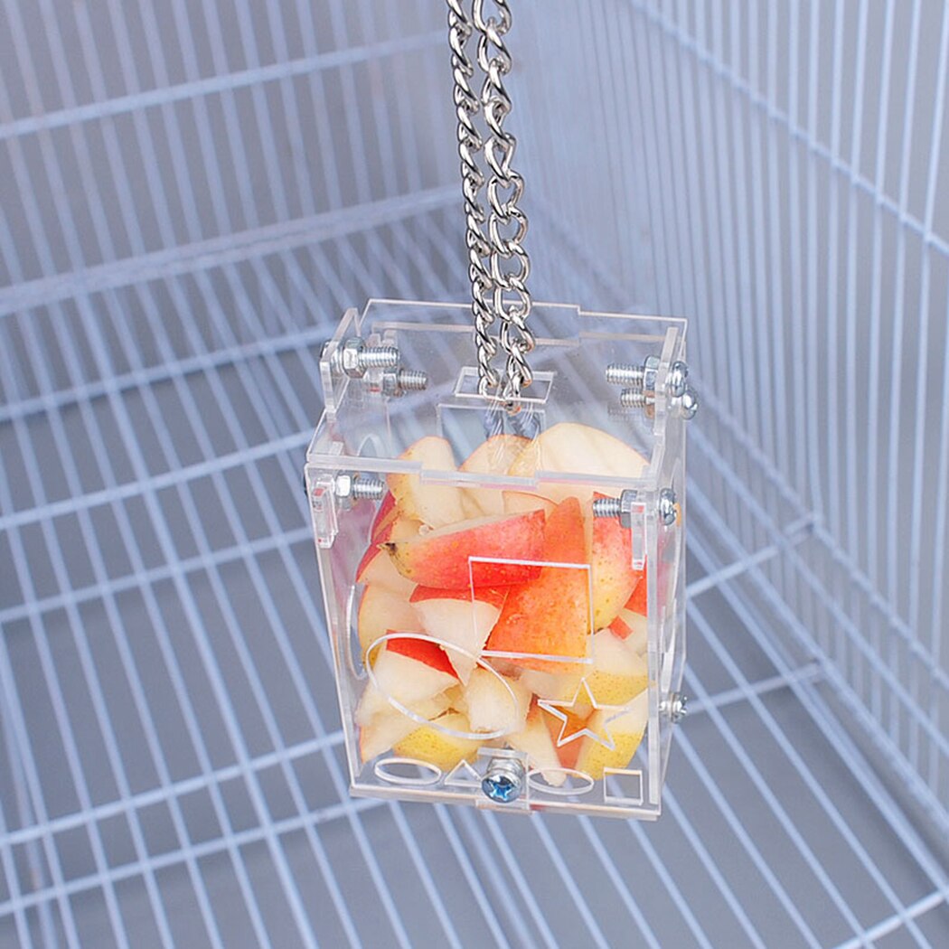 Clear Bird Feeder Acrylic Educational Hanging Forage Toy Parrot Feeder Bird Fruit Vegetable Feeder Pet Feeding Supplies