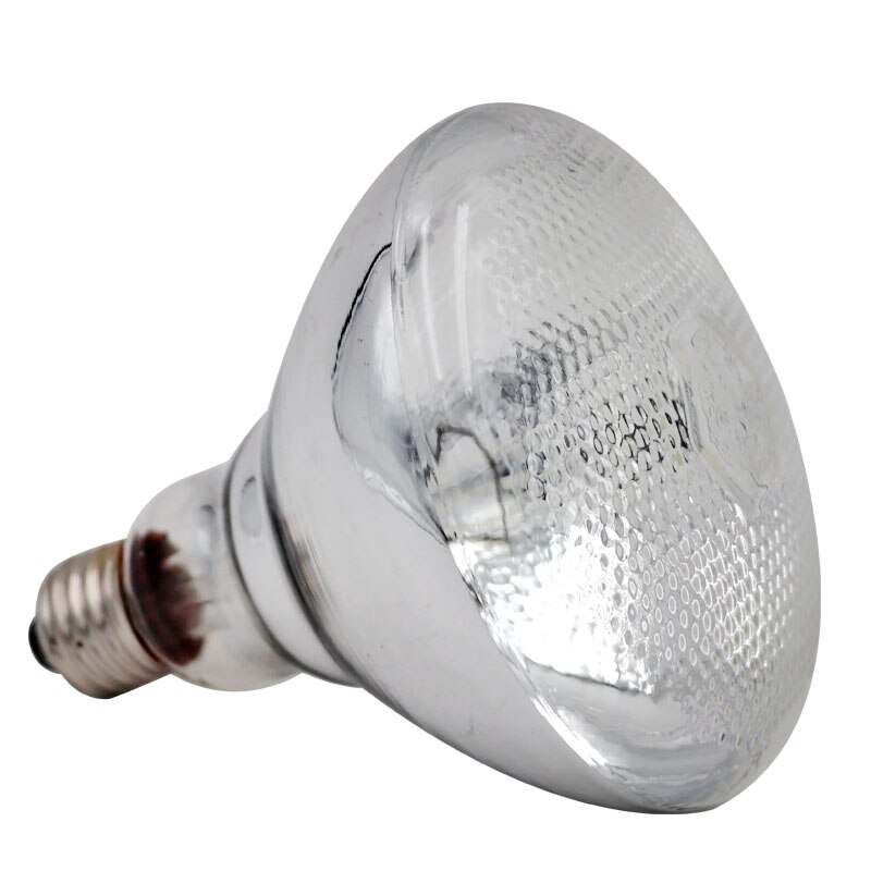 Animale da compagnia Lampadina Riscaldamento Allevamento Animali Lampada di Calore per Terrari Rettili Lucertole Maiale Pollo Isolamento Animale Domestico lampada Chioccia