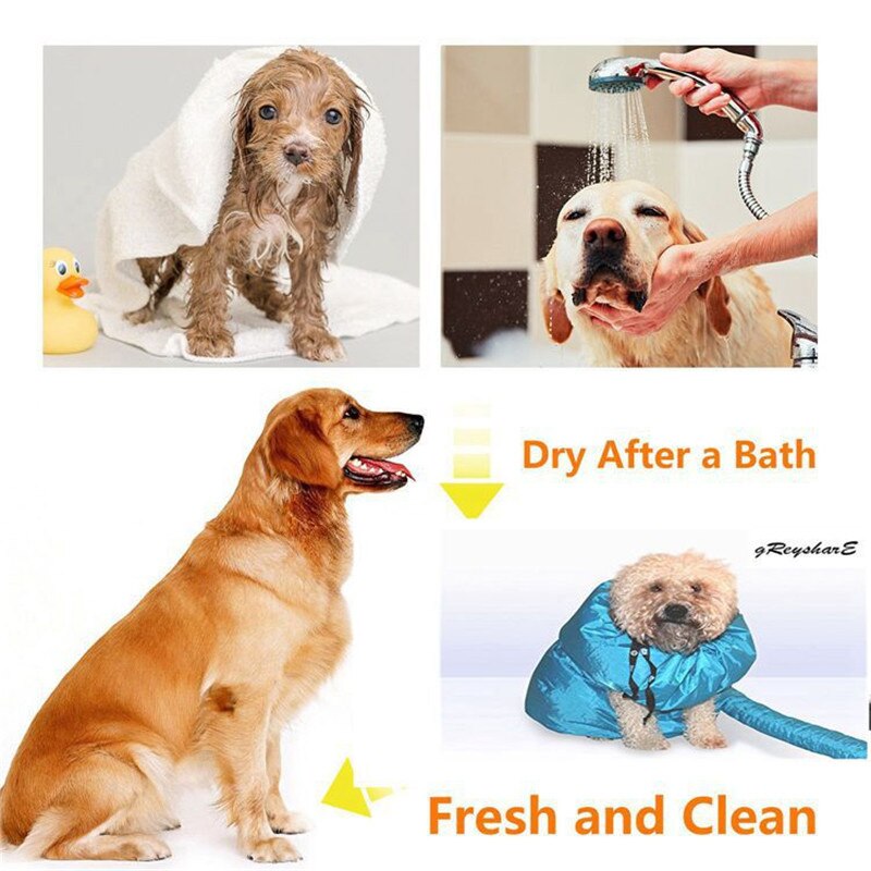 Tilbehør til hundetørrer med tørretumbler til hårtørrer, små, mellemstore og store hunde kan hurtigt og let tørre hundesætbadet  dg001