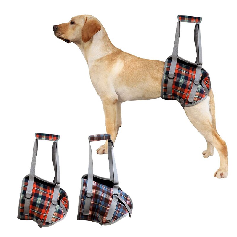 Harnais de soutien pour chien pour jambes avant et arrière gilet de rééducation réglable avec poignée pour vieux chiens handicapés