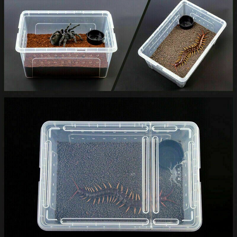 Krybdyr fodring kasse bur ruge container gennemsigtig plast skildpadde avl kasser til firben terrarium edderkop insekt hus