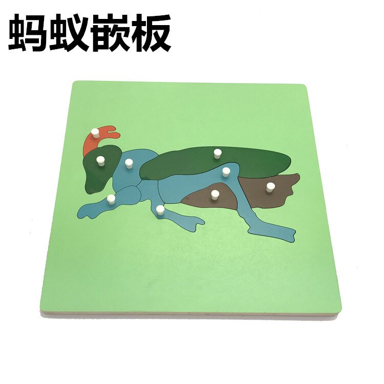 Wooden Toys Animal and Plant Panels Animal Puzzle Extension Nine Panels Mongolian Kindergarten Early Learning Toys for Children: ant