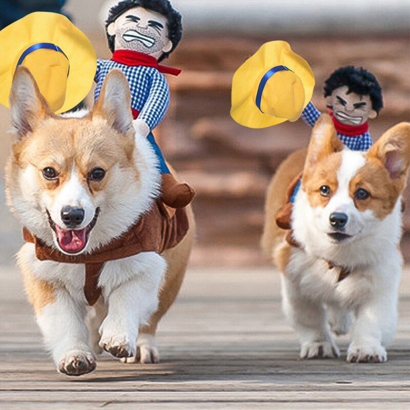 Haustier Lustige Reiten Kleidung Cowboy Reiter Kleidung Für Hund Welpen Chihuahua Teddy Cowboy Ritter Stil Nette Haustier Cosplay Kostüm Neueste