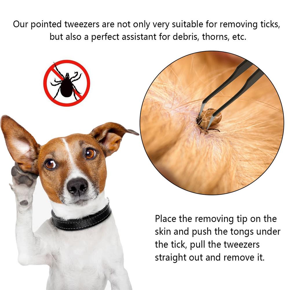 Pet Tick Remover Tool Set Tick Hook Stainless Steel Tick Remover For Dogs Cats Pet Hair Removal Brush