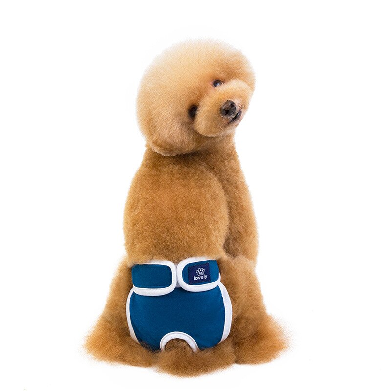 Dog Diapers Physiological Pant Washable Doggie Diapers for Female Dog Shorts Soft Girl Dogs Pants Pet Underwear Sanitary Panties: blue / M 32-42cm