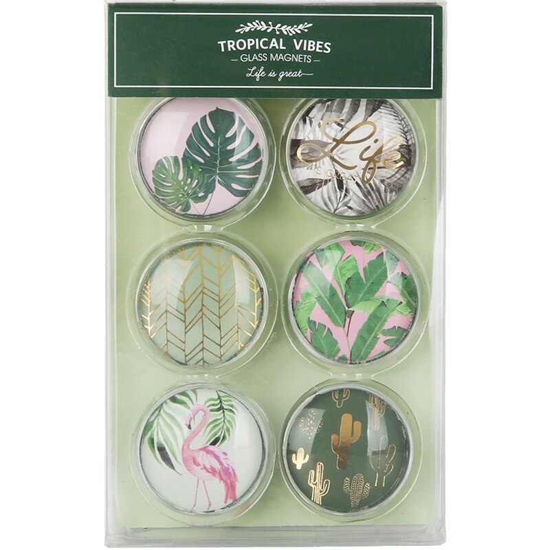 Imanes de cristal de la serie NEVER Plant, imanes, tachuelas para el pulgar, soporte de mensajes para pizarra blanca, de artículos de oficina, papelería, tienda: Default Title