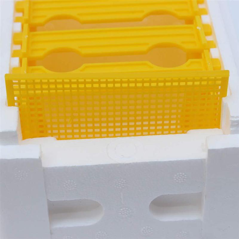 Double Layer Bee Box Bee Storage Box Beehive Bee Mating Box Beekeeping Tool