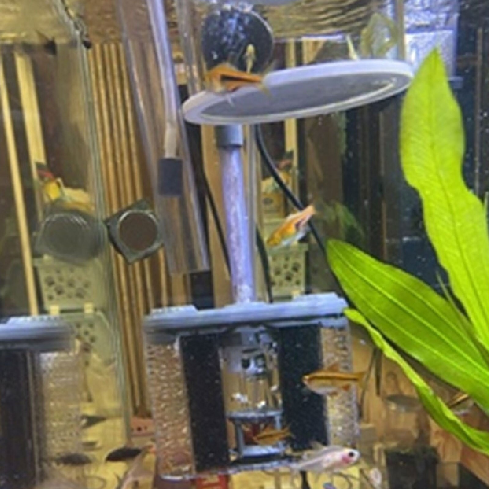 6-In-1 Fish Tank Filter Oxygenatie Aquarium Filter Multifunctionele Water Flow Verstelbare Aquarium Benodigdheden