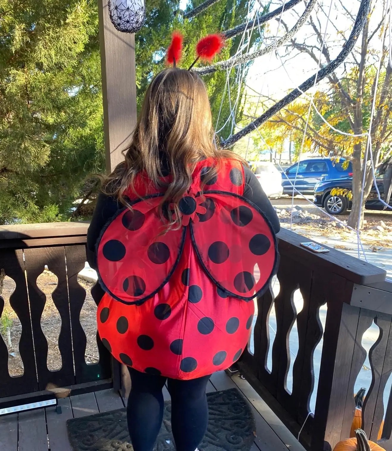 Festival Costumes European and American Halloween Halloween Bee and Ladybug Adult and Children Cosp Costumes