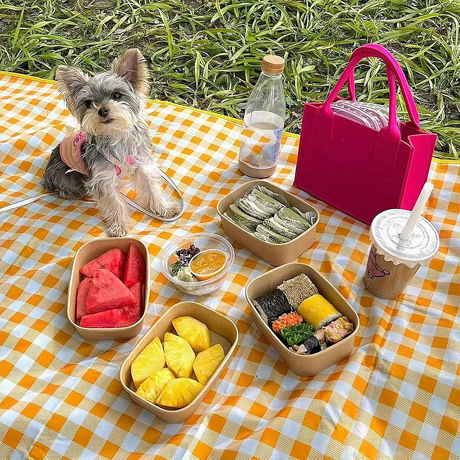1 st, ultrastor picknickfilt, bärbar vattentät picknickfilt, rutig picknickmatta för stranden, picknickfilt för campinggräsmatta
