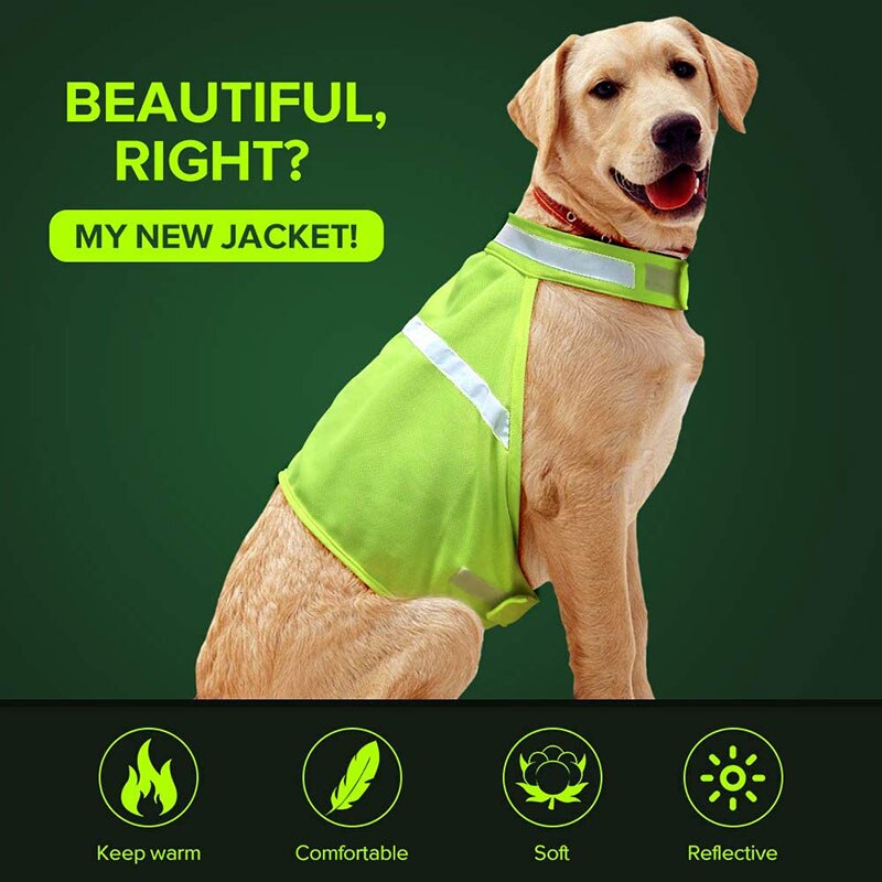 Dog Reflective Vest High Visibility Adjustable Strap Safety Jacket Keep Your Dog be Seen and Safe from Cars & Hunting Accidents: Green / Large