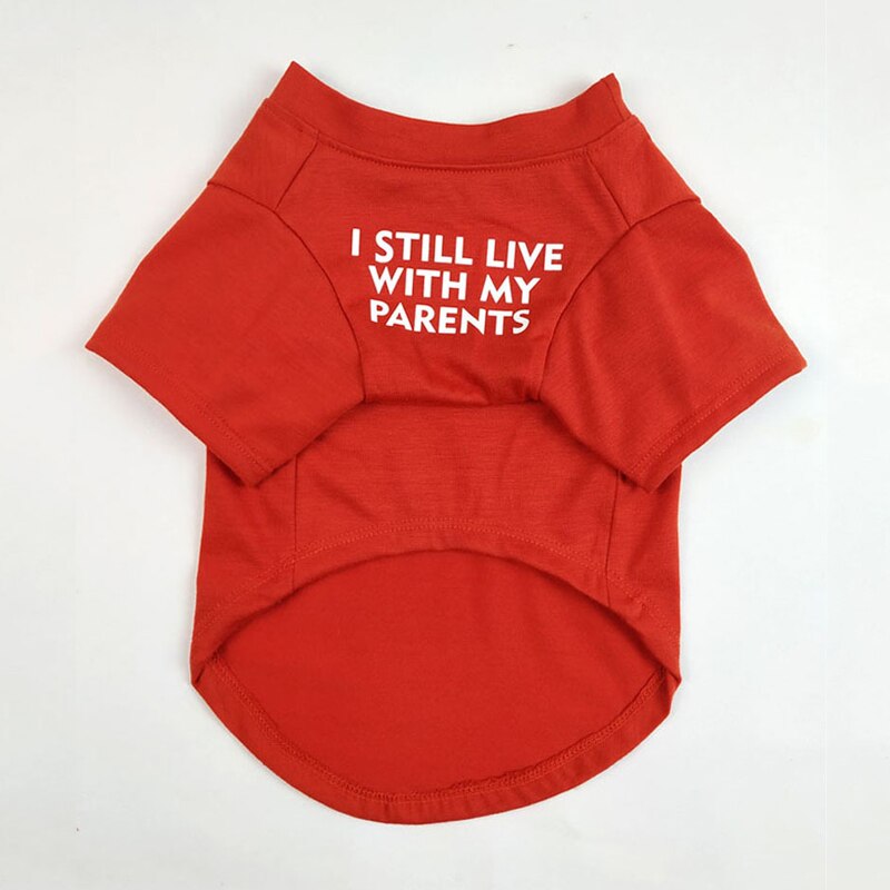 ademende zomer/lente hondenkleding zachte letters gedrukt Franse Bulldog huisdierkleding mode T-shirt voor hond: Light Grey / L