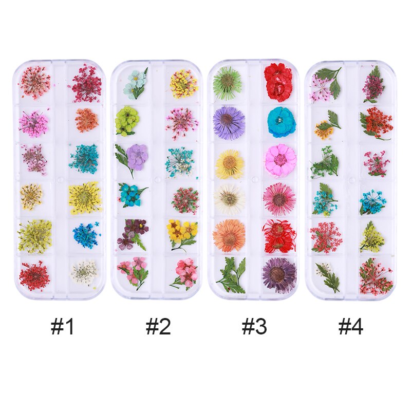 1 doos Kleurrijke Natuurlijke Droge Bloemen Bloemen Gemengde Patronen 3D Nail Art DIY Decoraties Gereedschap Voor UV Gel Polish