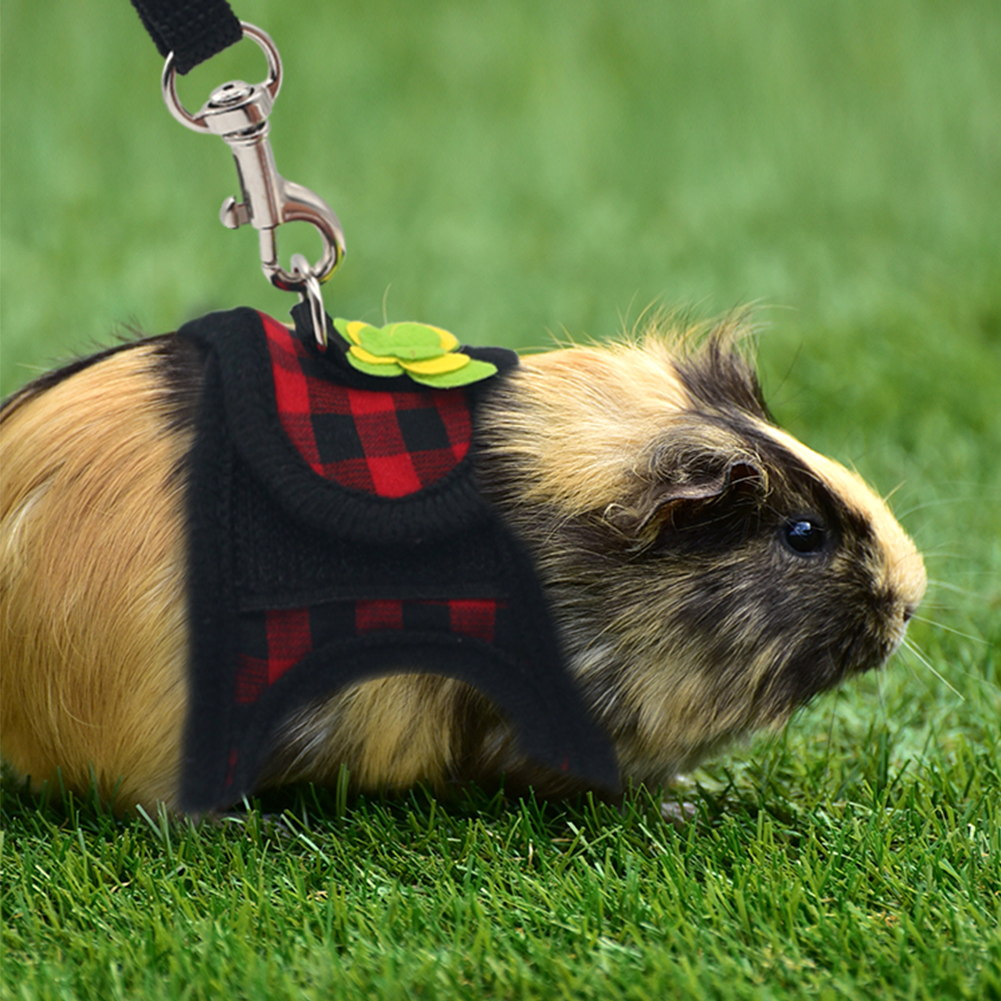 Arnés para hámster, correa ajustable para conejillo de indias, Chinchilla, ratones, Hurón, cuerda de tracción al aire libre, accesorios para animales pequeños