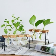 Florero de vidrio para plantas hidropónicas, marco de madera para cafetería, jarrón de decoración, terrario, bonsái para el hogar, estación de decoración