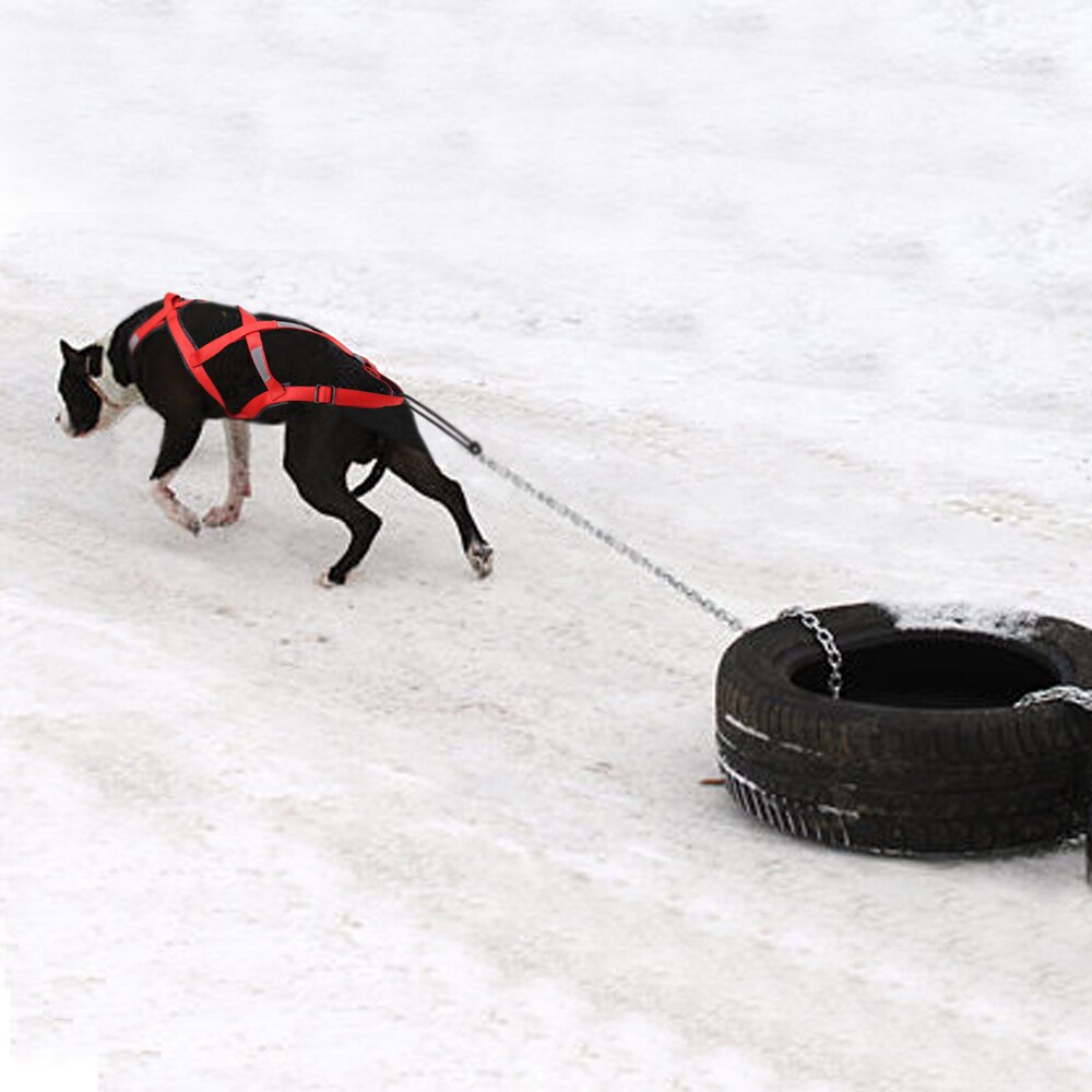 Waterdichte Hond Slee Trekken Harnas Huisdier Mushing Harness Voor Grote Honden Husky Huisdier Oefening Bikejoring Rodelen Skijoring Harnas