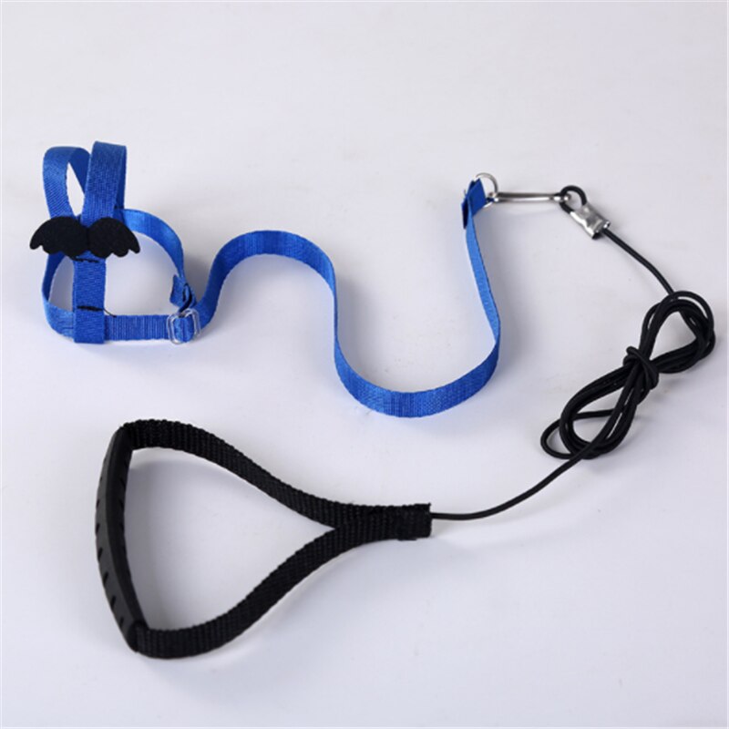 Colorful Parrot Bird Collar Harness Adjustable Parrots Bird Harness Training Traction Anti-Bite Outdoor Flying Harness Leash: blue
